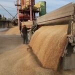 Київ обмежив роботу суден, залучених до вивезення зерна з ТОТ